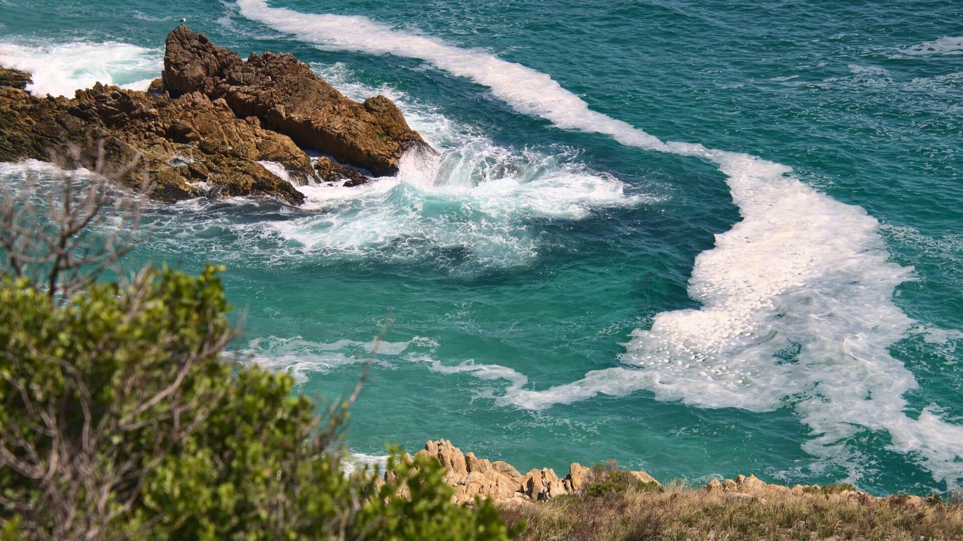 Sea runny nose threatening the sea