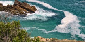 Sea runny nose threatening the sea